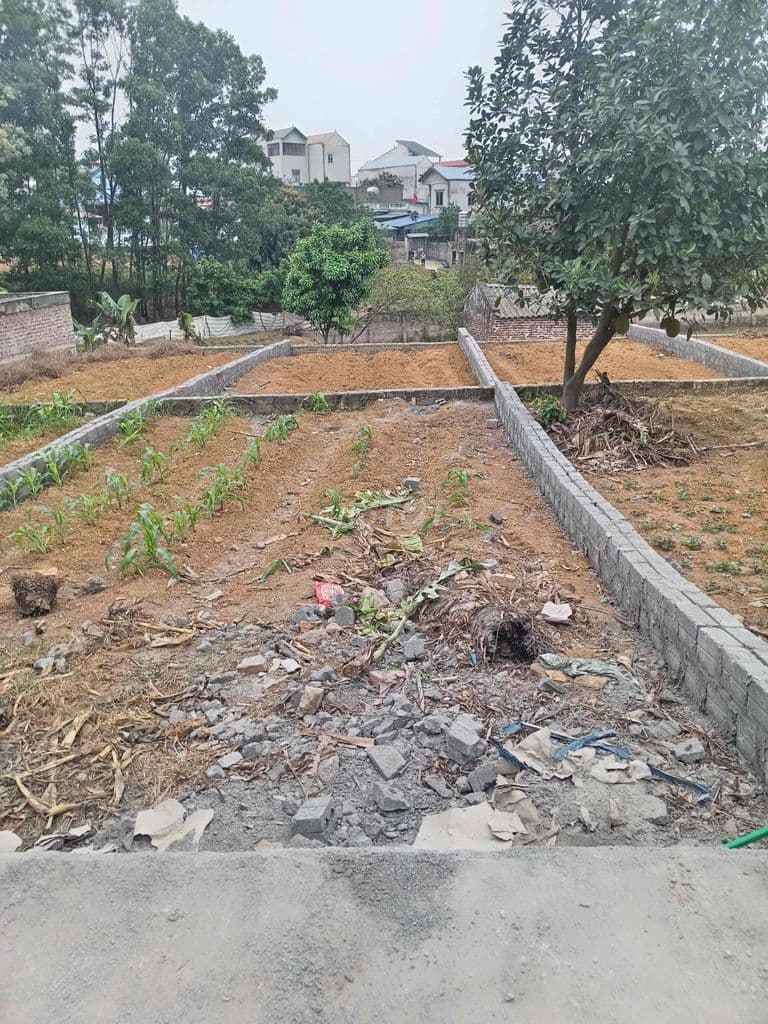 Bán đất ngõ 211 đường tỉnh lộ 421B xã Phú Cát, Hà Nội