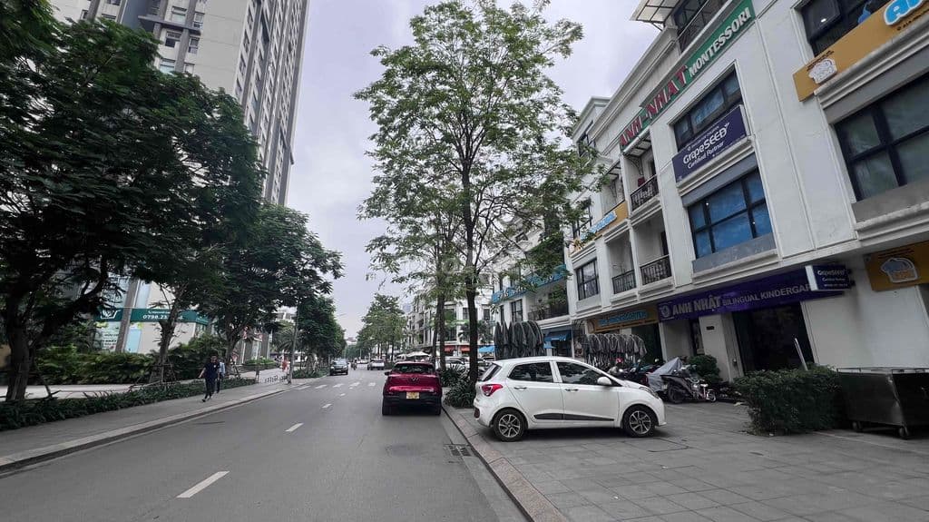 Bán gấp biệt thự liền kề Iris Gardren, phân lô, kinh doanh đỉnh - Ảnh 2