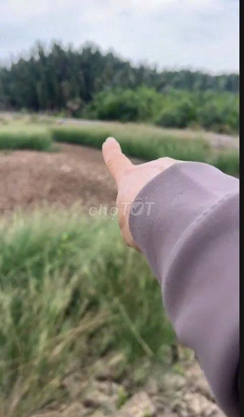 BÁN ĐẤT BỜ SÔNG – CẦN GIỜ - AN THỚI ĐÔNG -HỒ CHÍ MINH. - Ảnh 3