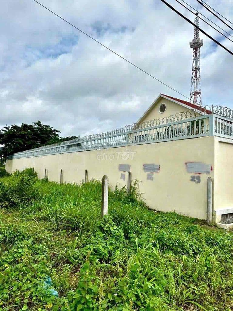 200m2(10x20)mặt tiền đường lớn giá 650tr full thổ ngân hàng hỗ trợ vay - Ảnh 3
