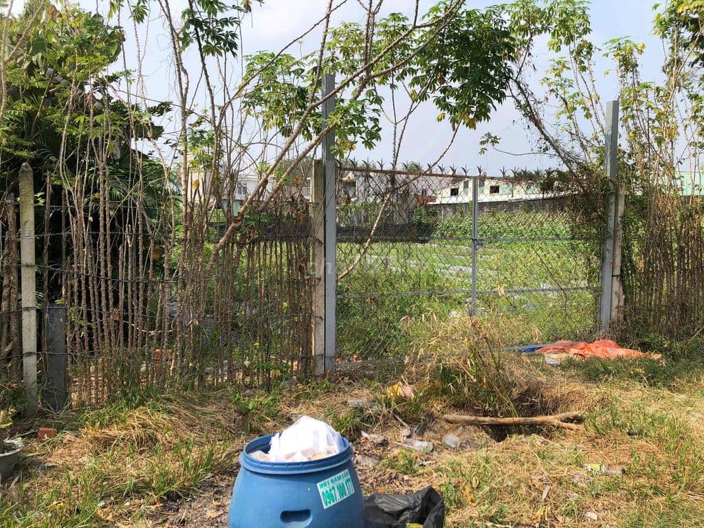 Bán đất Chính Chủ Thổ Vườn Phước Vĩnh An - Ảnh 2