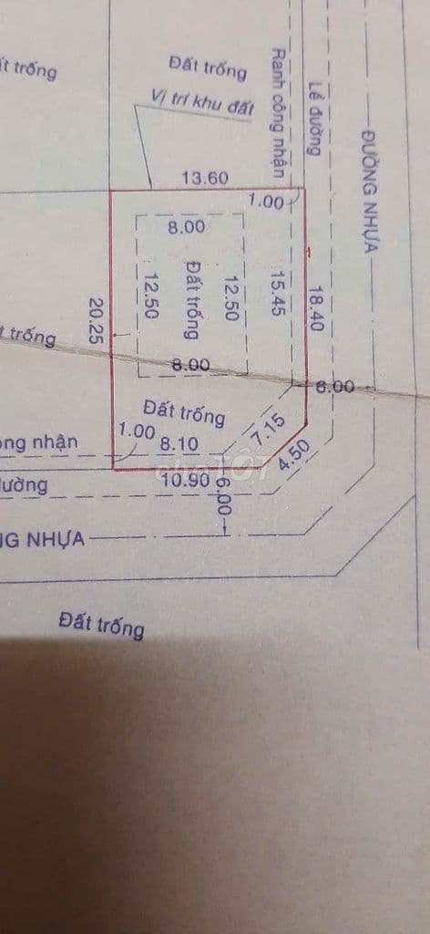 CẦN BÁN LÔ ĐẤT THỔ CƯ VÀ VƯỜN – ĐƯỜNG SỐ 9, HIỆP BÌNH PHƯỚC, THỦ ĐỨC