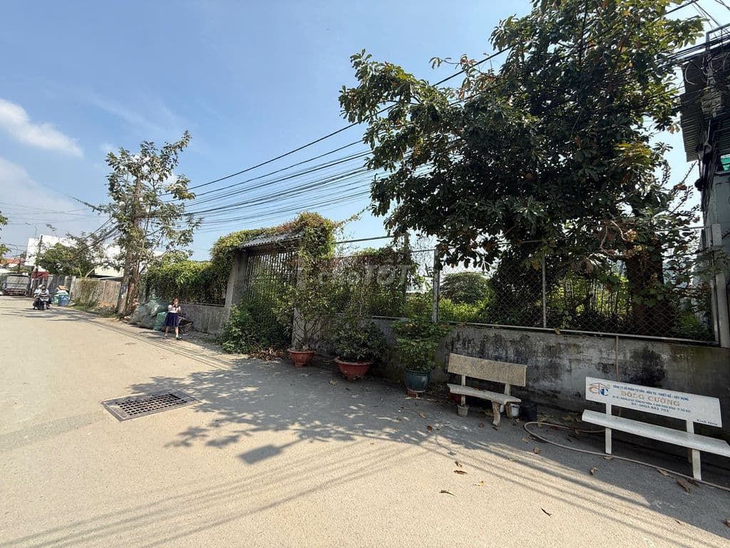 Bán 1132m2 đất vườn đường lò lu Phường Trường Thạnh , giá chỉ 24 tr/m2 - Ảnh 3