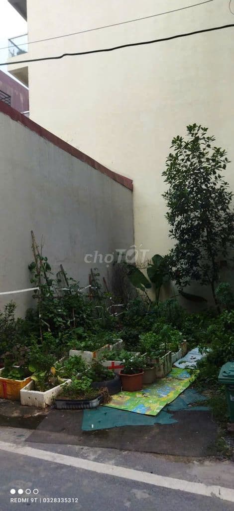 62m2 ĐẤT, LÔ GÓC, KIM CHUNG, THPT HOÀI ĐỨC, XÂY Ở MUA ĐẦU TƯ, 4.9 tỷ - Ảnh 2
