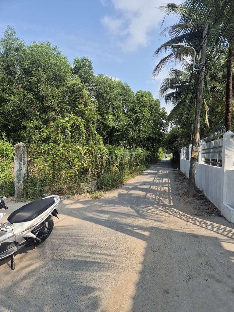 Đất lớn giá đầu tư - Ảnh 2