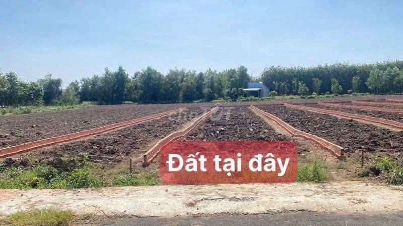 bán đất nhựa An Linh Phú giáo TPHCM giá 599tr - Ảnh 3