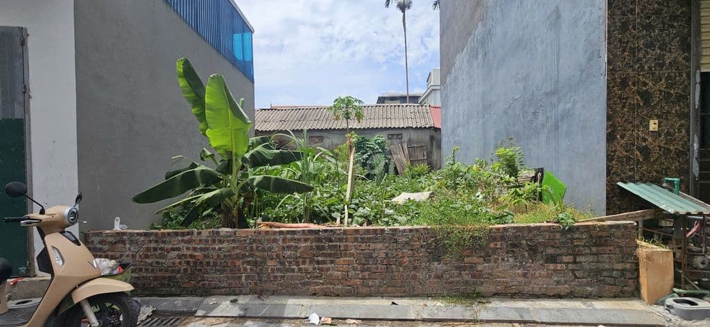 🔥🎗Đất Vàng 56,2m2 Thôn Bầu, Kim Chung – Ngõ 4m ô tô 🚘 ra vào - Phố Thị