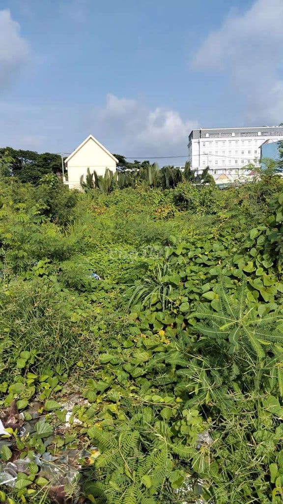 bán Đất Đường 512 Xã long thới Huyện Nhà bè Diện tích 200m2 Giá 7,9TY - Ảnh 3