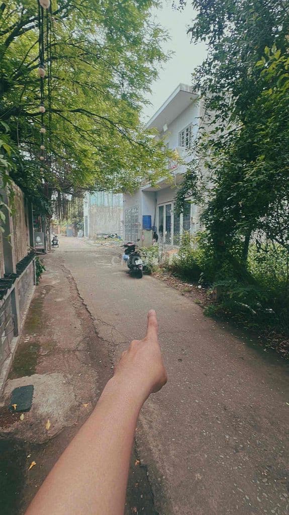 Chính chủ bán đất hẻm xe hơi Nguyễn Công Trừ Đông Thạnh Hóc Môn - Ảnh 2