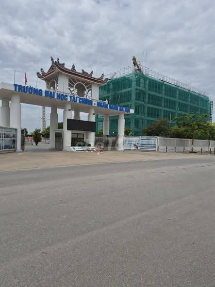 bán lô đất Mê Linh Hà Nội ô tô đỗ cửa - Ảnh 3
