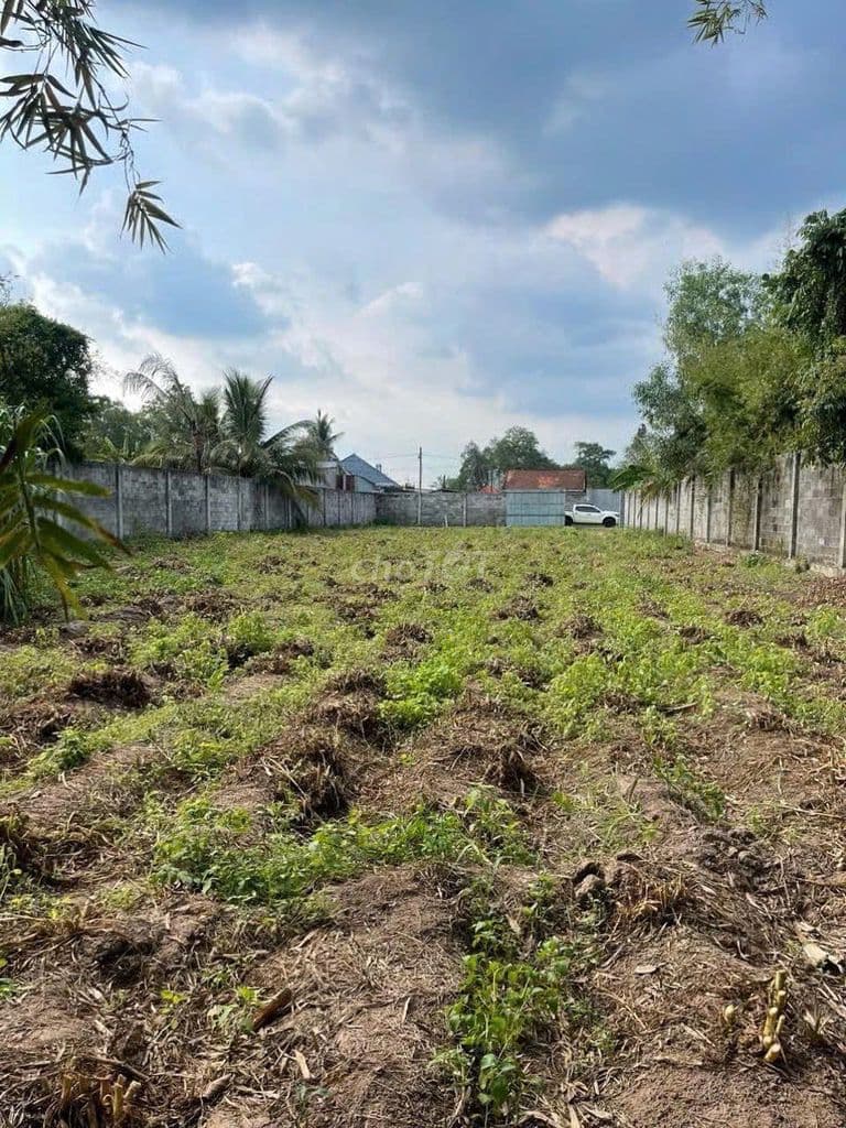 Cần bán mảnh đất lớn đẹp lớn 1287m2 ở Phước Thạnh, Củ Chi giá 2,6 tỷ - Ảnh 2