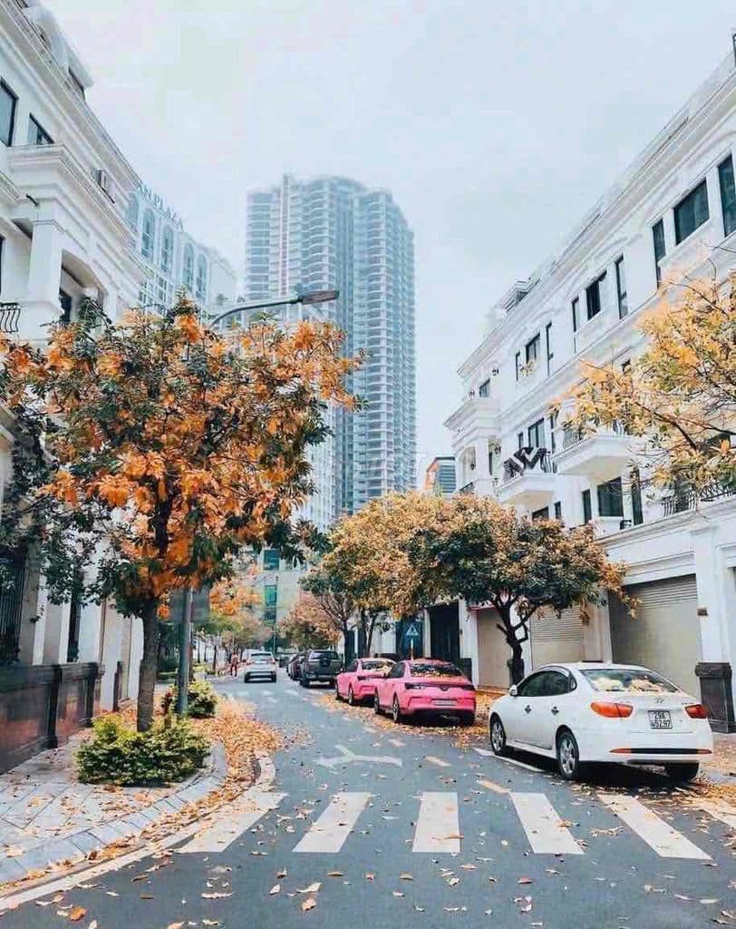 CHÍNH CHỦ BÁN NHÀ ROMAN PLAZA 70m2 BAO THUẾ PHÍ - Ảnh 3