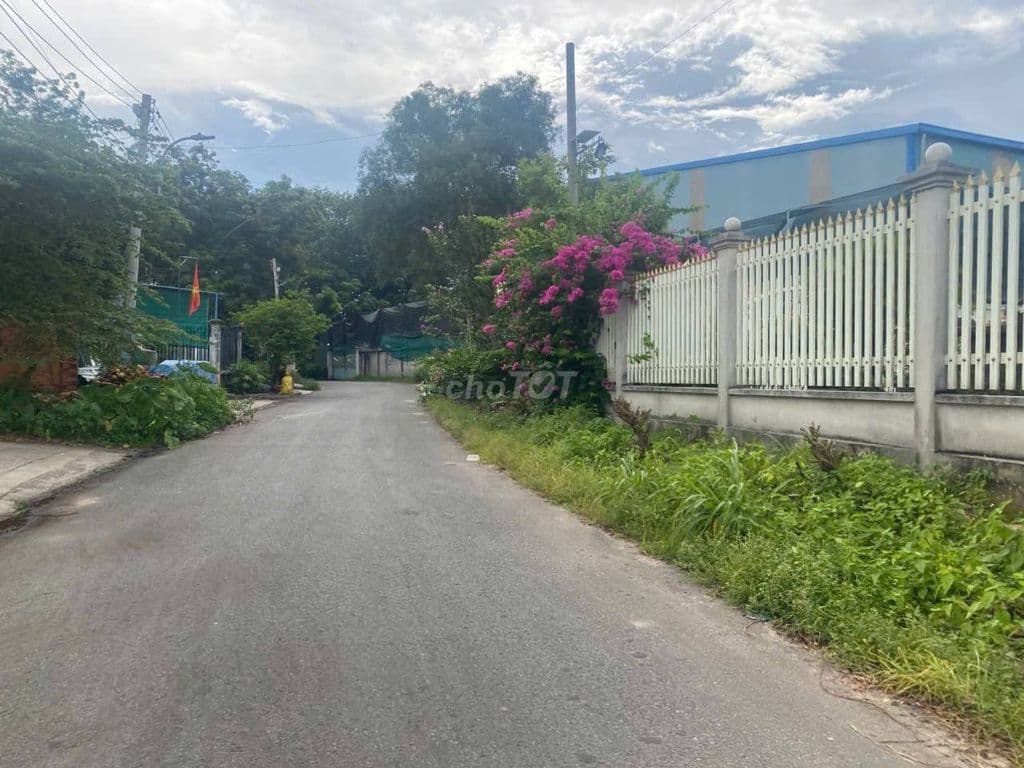 Bán đất Tân Định, đường nhựa 7m, 5x66, 1.49 tỷ - Ảnh 2