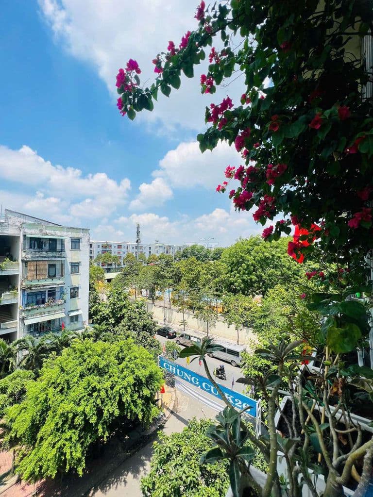 Căn hộ TẦNG TRỆT K26 DƯƠNG QUẢNG HÀM P7 GV 2PN& 20M HIÊN