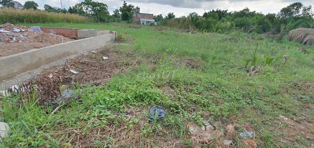 520 m2 hẻm Lê Văn Lương - Ảnh 2