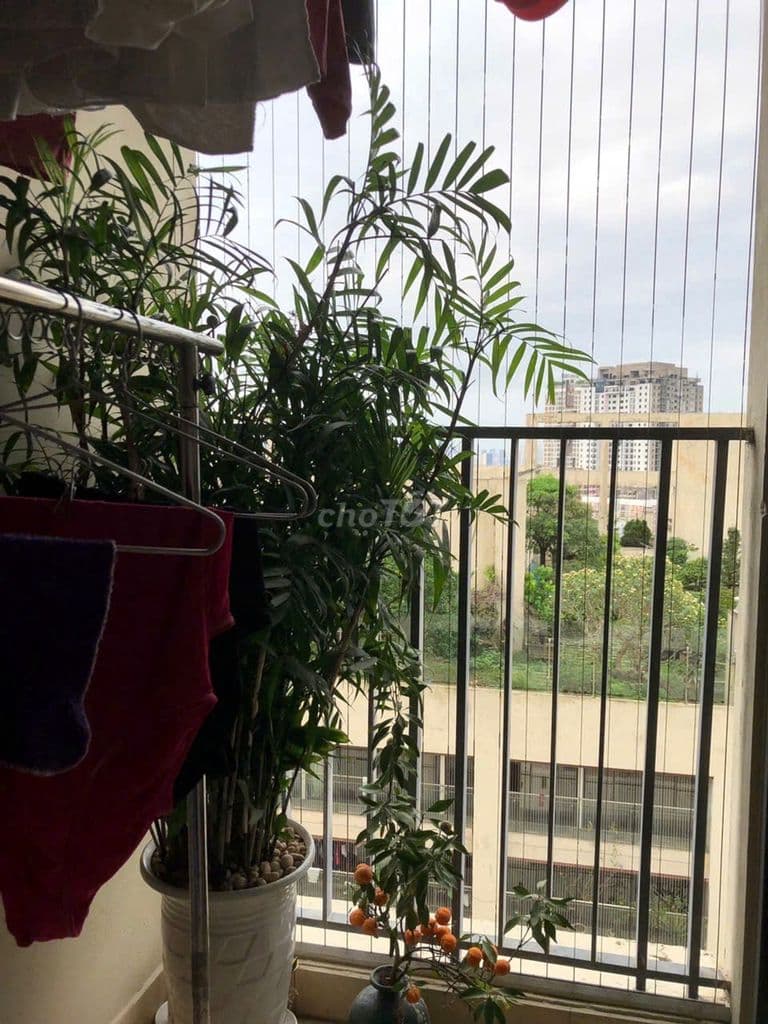 Bán căn hộ chung cư The Pride. Diện tích 70m2 - Ảnh 3