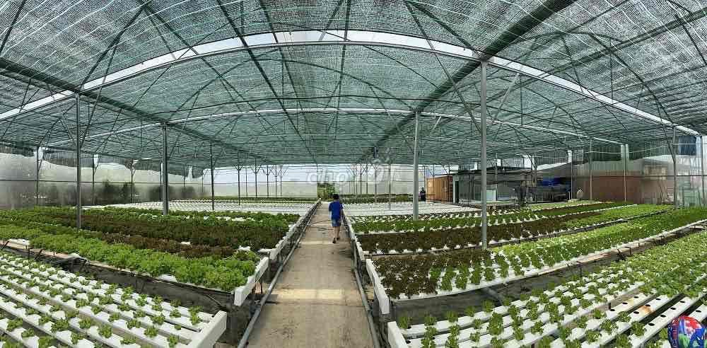 Bán đất Bình Chánh