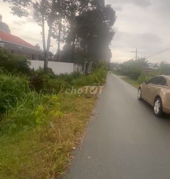 Giảm sâu, mt nhựa Nguyễn Thị Chiếu, dt 576,5m, có 188m thổ, xã An Phú