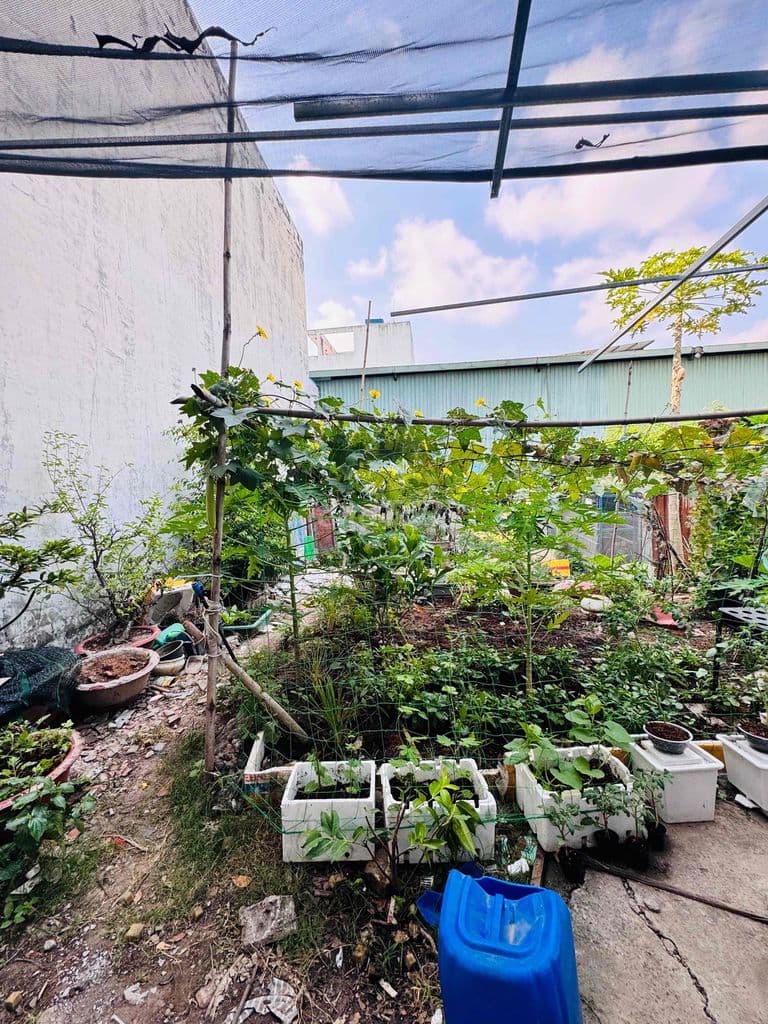 Bán Đất Thổ Cư - Hẻm Xe Tải Thông - LK 4-5 - Gần KDC Vĩnh Lộc - 90M2 - Ảnh 3