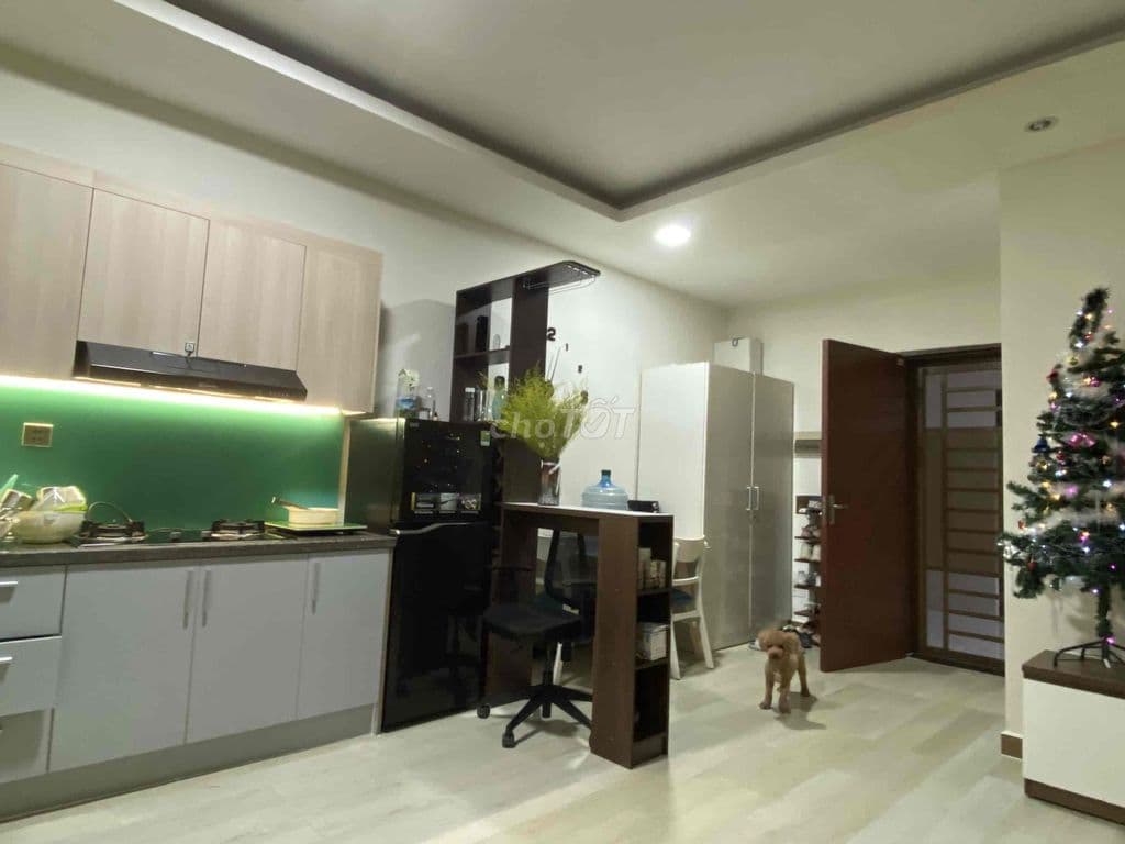 🔥Bán căn hộ 1pn*Shr- tầng cao thoáng*Cc Đức khải Q7*Dt 48m2*Giá2.49 tỷ - Ảnh 2