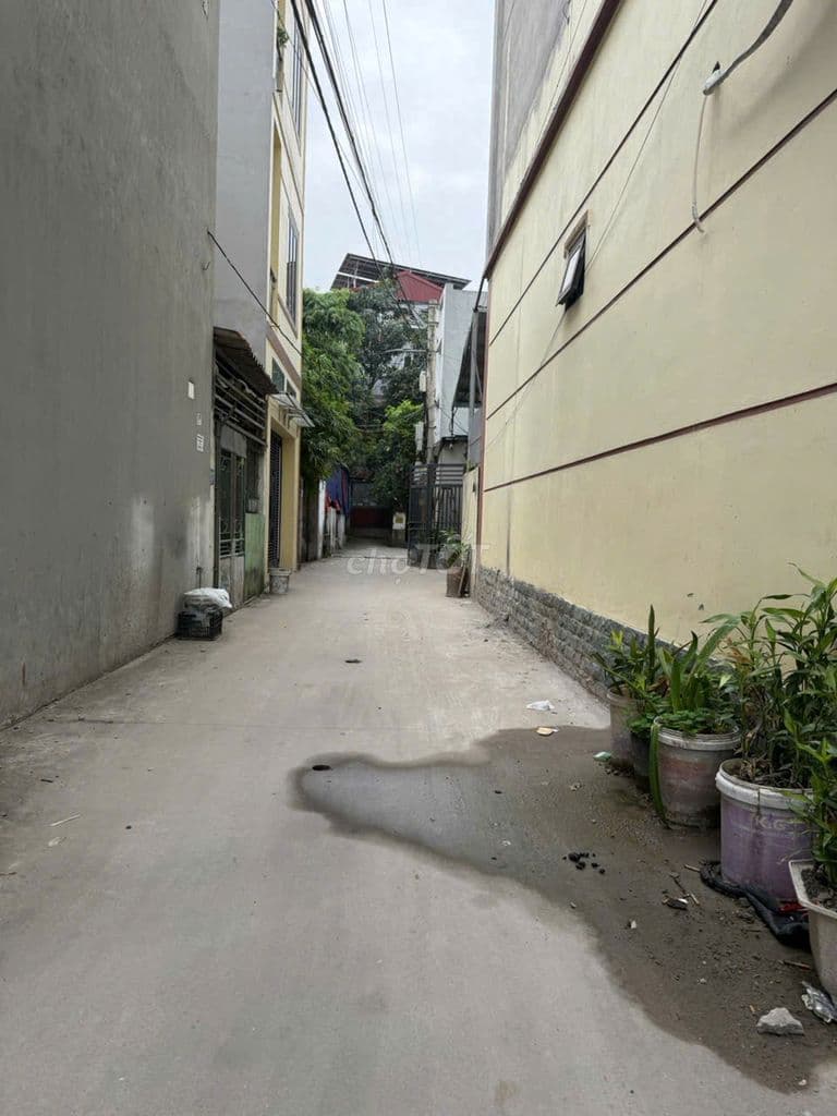 Đất Tổ 2 Quang Minh 43,7m² MT 3,5-Sẵn Nhà Cấp 4 Cho Thuê, Ô Tô Đỗ Cửa - Ảnh 3