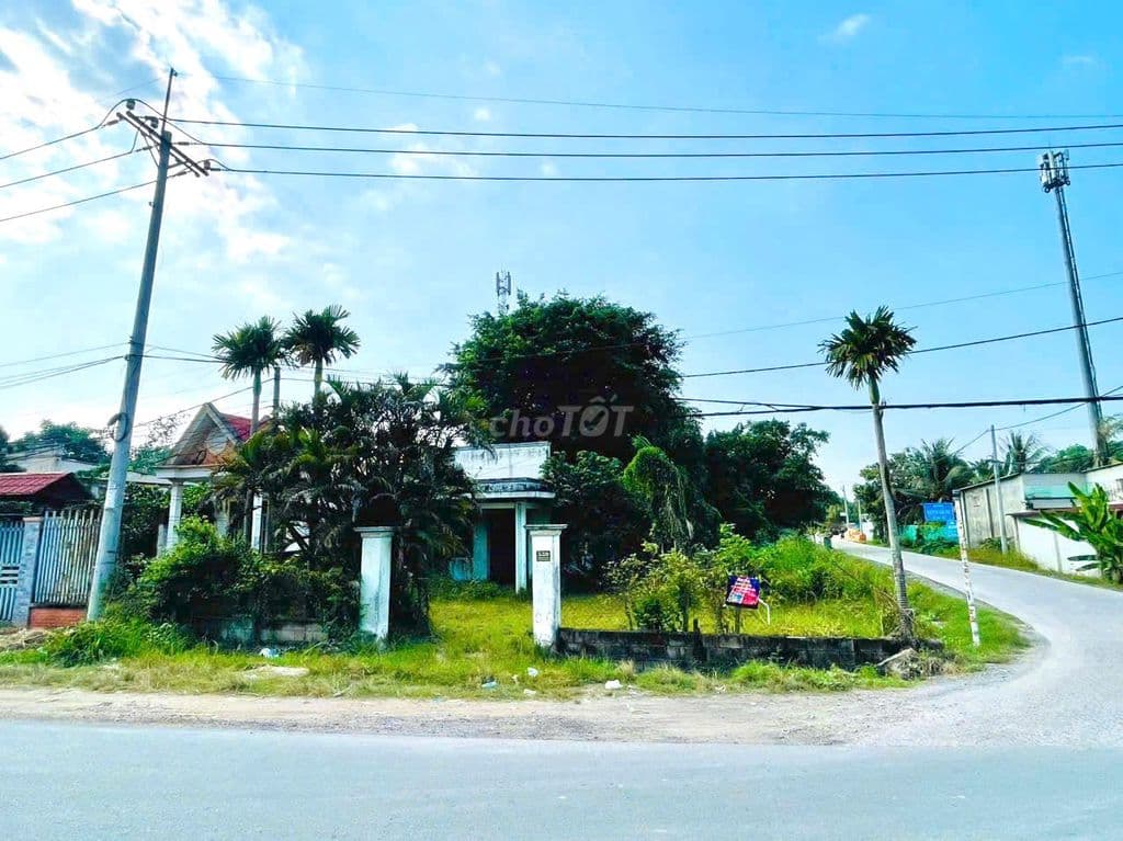 BÁN 462m2 ĐẤT - 2 MẶT TIỀN - TÂN AN HỘI, CỦ CHI GIÁ: 780 TRIỆU - Ảnh 3