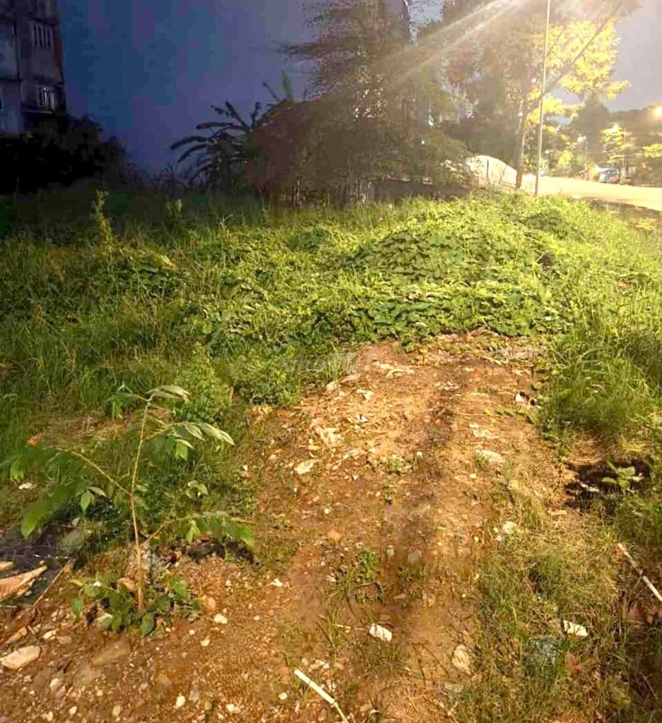 Đất Mặt Tiền Đường KDC Phong Phú4-LOVERA PARK-Bình Chánh- 5x20 - 6,5Tỷ - Ảnh 2