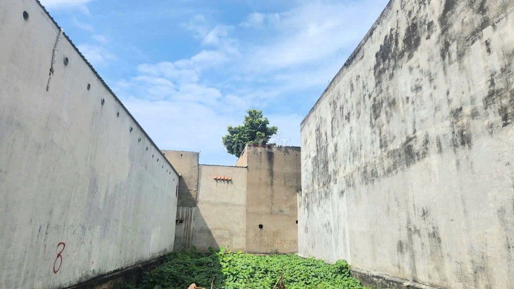 31tr/m2 thổ cư, si.ê.u rẻ, 7X20 vuông vức, Lò Lu,Trường Thạnh, Thủ Đức - Ảnh 2