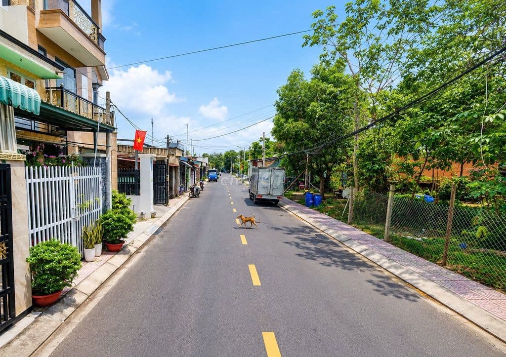 ĐẤT THỊ TRẤN CỦ CHI. MẶT TIỀN ĐƯỜNG NHỰA. SHR. 720 TRIỆU - Ảnh 2