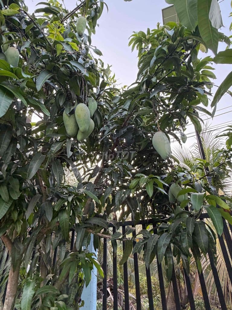 Nhà mới đang hoàn thiện - Ảnh 3