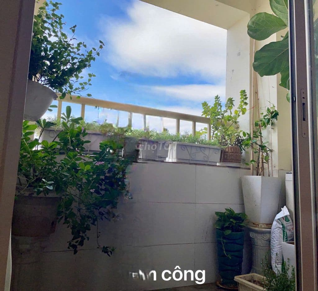 Giá tốt chốt nhanh! Căn hộ 3 phòng ngủ 100m tòa CT1 Xa La - Sổ hồng - Ảnh 2