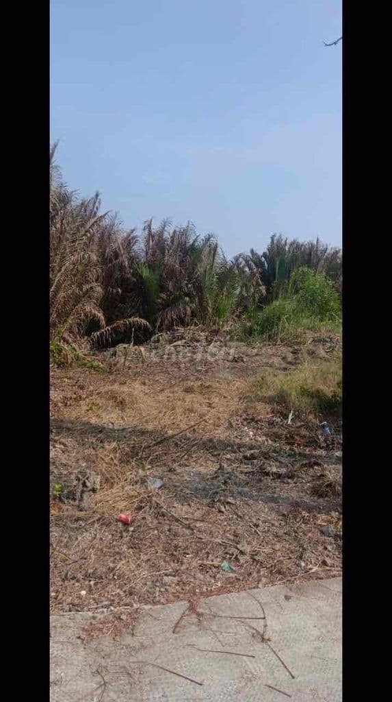 chinh chủ bàn - Ảnh 2