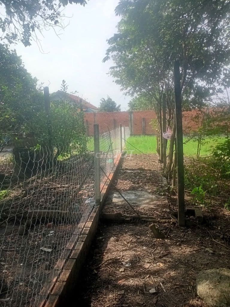 ĐẤT LỚN GIÁ RẺ CẦN BÁN - Ảnh 2