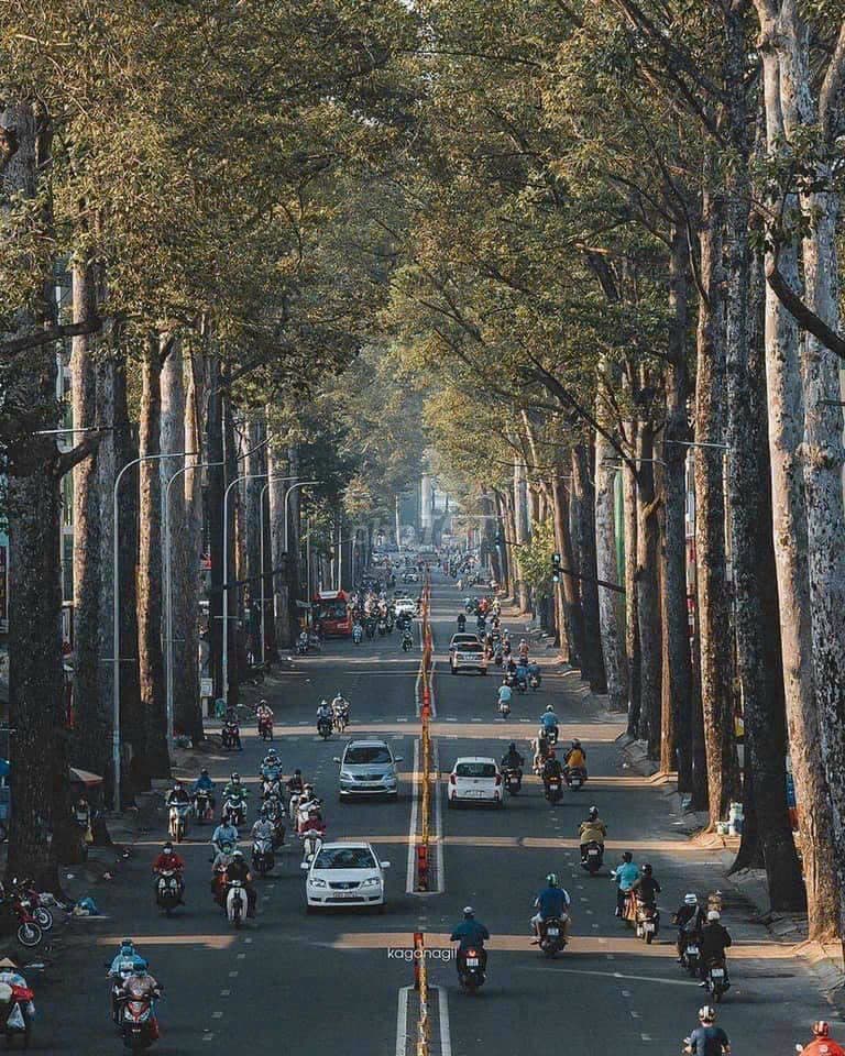 Mặt tiền Nguyễn Chí Thanh, Phường 7, Quận 10, 4.2m x 18m, DTCN 74m - Ảnh 3