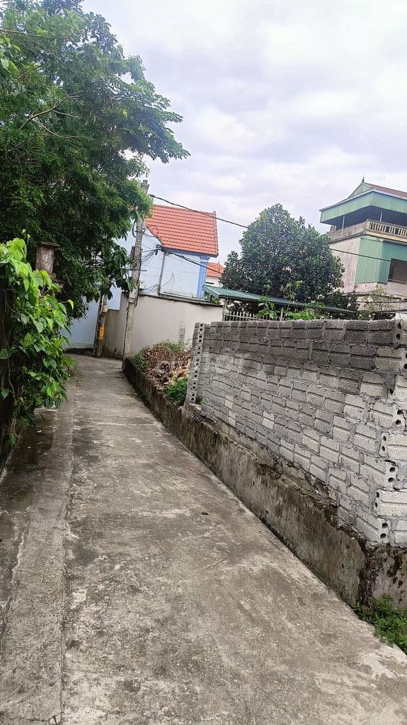 Bán đất Khánh Hà, Thường Tín - 47m2 - ô tô đỗ cửa - Ảnh 2