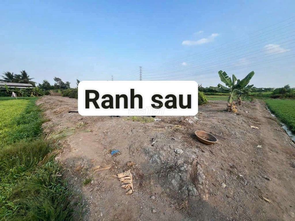 BÁN ĐẤT TCLN đường xe tải Bình Mỹ - Ảnh 3