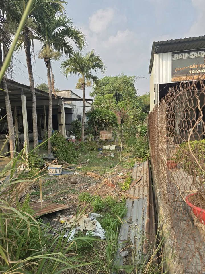 Chủ cần xoay vốn,bán gấp đất đường Mai Thị Chửng, DT 130m2, giá 750tr - Ảnh 2
