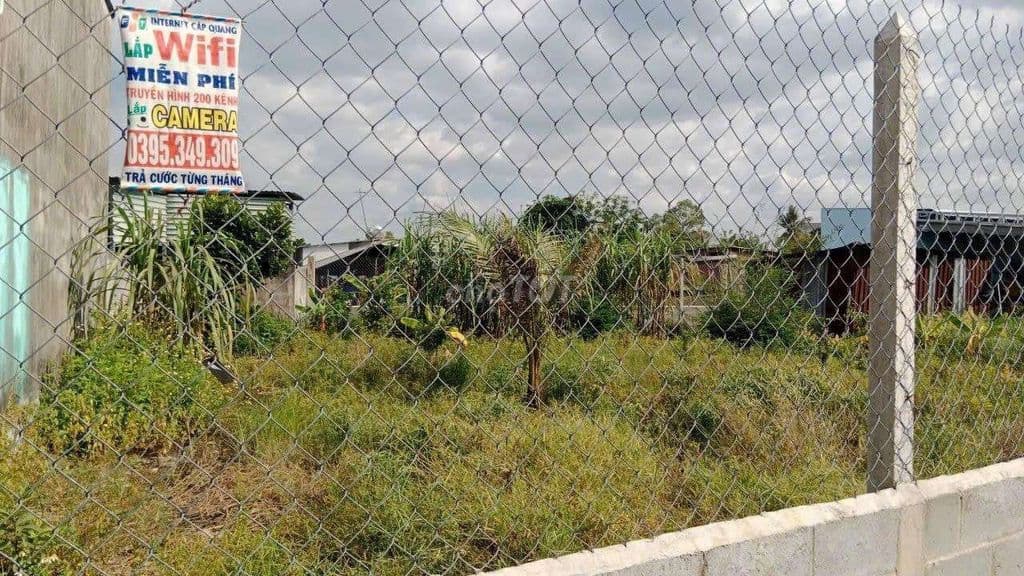 Bán đất ngay tân phú trung - tỉnh lộ 2 , 300m2 , đường ô tô thông - Ảnh 2