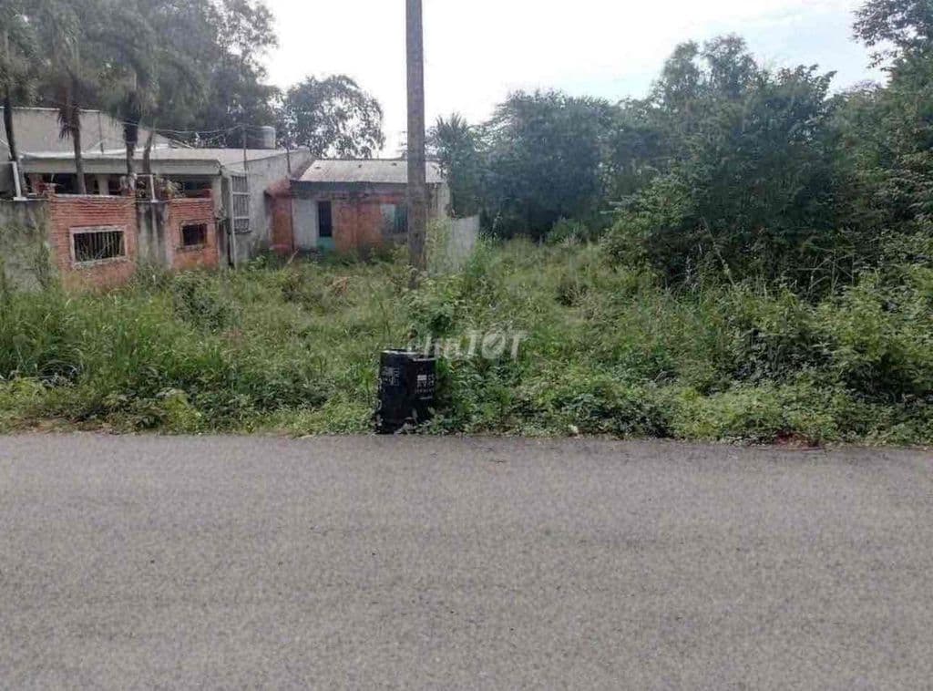 Bán đất Mặt tiền 291m2 - Ảnh 2