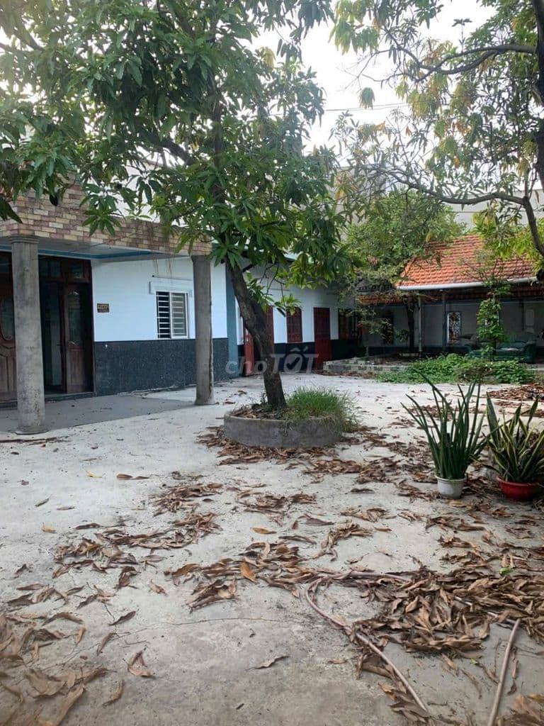BÁN ĐẤT SHR DIỆN TÍCH LỚN 9,75 x 17m FULL THỔ CƯ - BANK HỖ TRỢ 80%