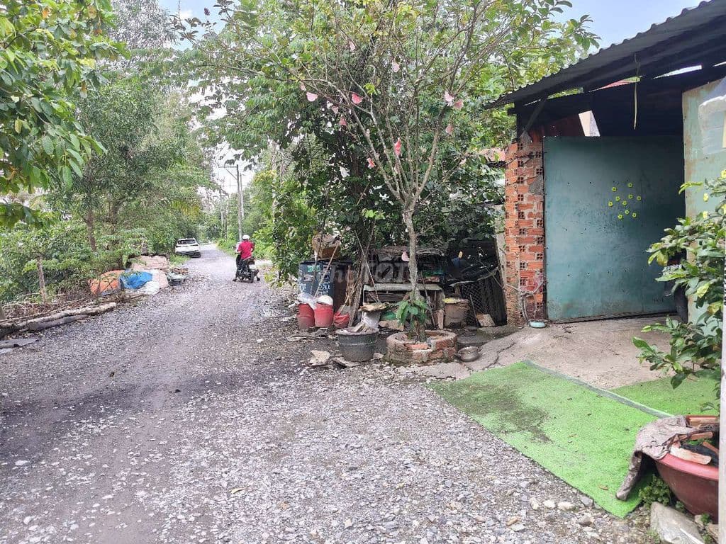 BÁN NHÀ HÓC MÔN - XE TẢI THÔNG - DT KHỦNG - GIÁ CỰC RẺ - Ảnh 3