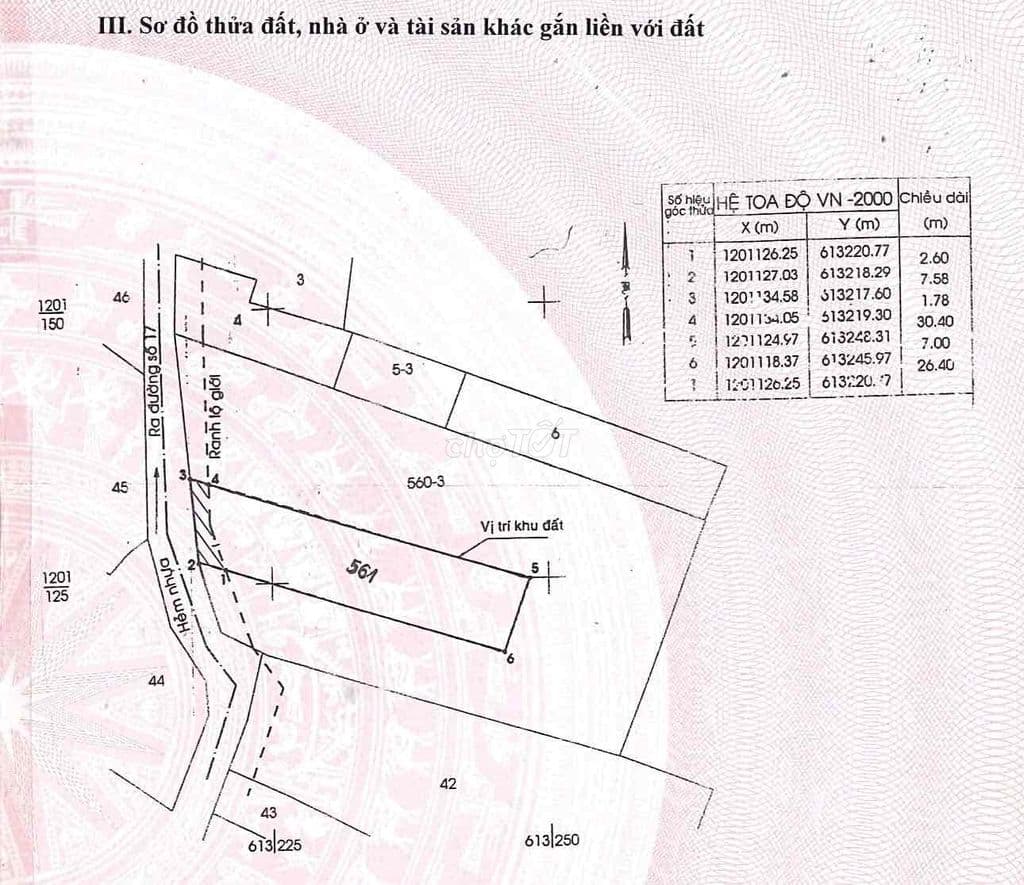 Bán đất trống đường 17 linh trung , thủ đức - Ảnh 2
