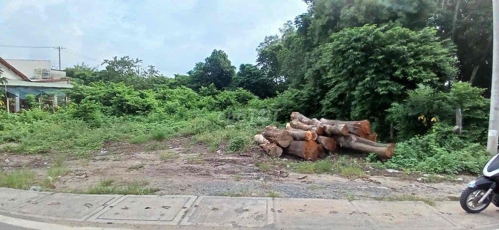 Bán đất đẹp gần ngã tư Cây Bài , hợp đâu tư kinh doanh , 851m2/1,55ty - Ảnh 2