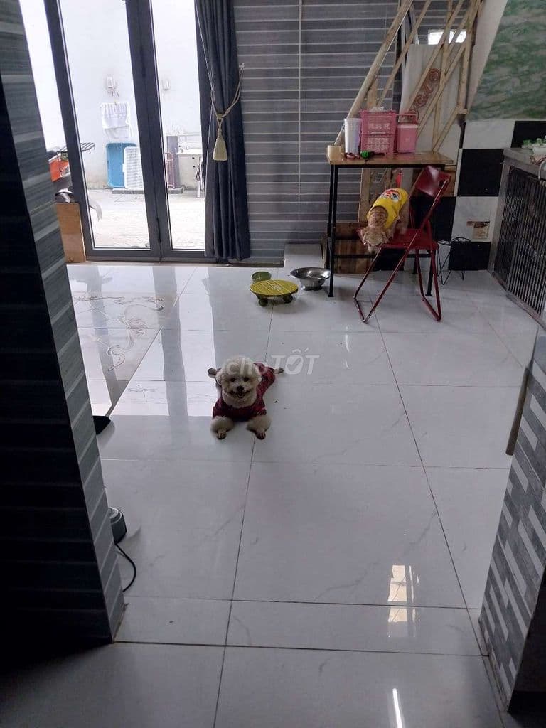 Sồ riêng chính chủ đăng tin 6x8, 3 PN,2WC gần mặt tiền lớn