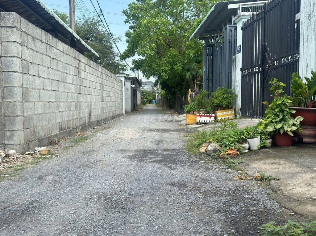 Đất gần Trường Học 1 xẹt LÊ THỊ BAY, 7,9X30M2 có 100m2 thổ, 2 tỷ 450 - Ảnh 3