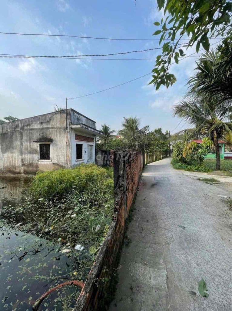 🌟 BÁN ĐẤT XÃ Tân Quý Tây – Bình Chánh (TP.HCM) - Ảnh 2