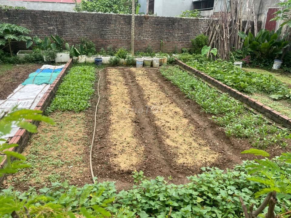 bán đất 45m trục chính Đông Sơn - Nội Bài giá nhỉnh 2 tỷ