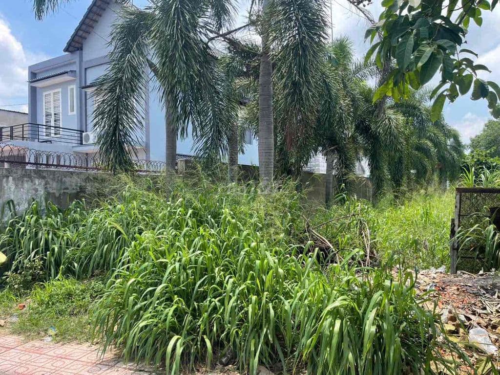 Bán Gấp Đất Mặt Tiền Nguyễn Thị Sáu, 449m2, full thổ, SHR
