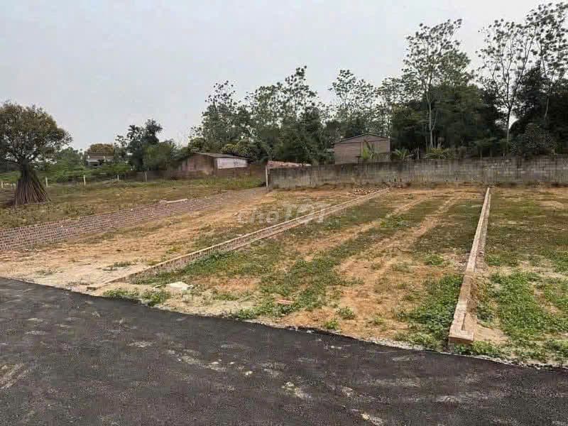 Cần bán nhanh lô đất full thổ cư - Cẩm Lĩnh - Ba Vì - Hà Nội