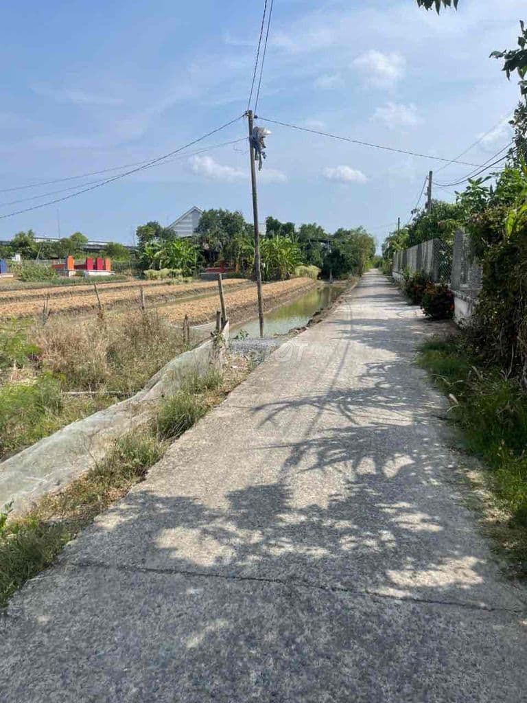 cần bán hạ giá